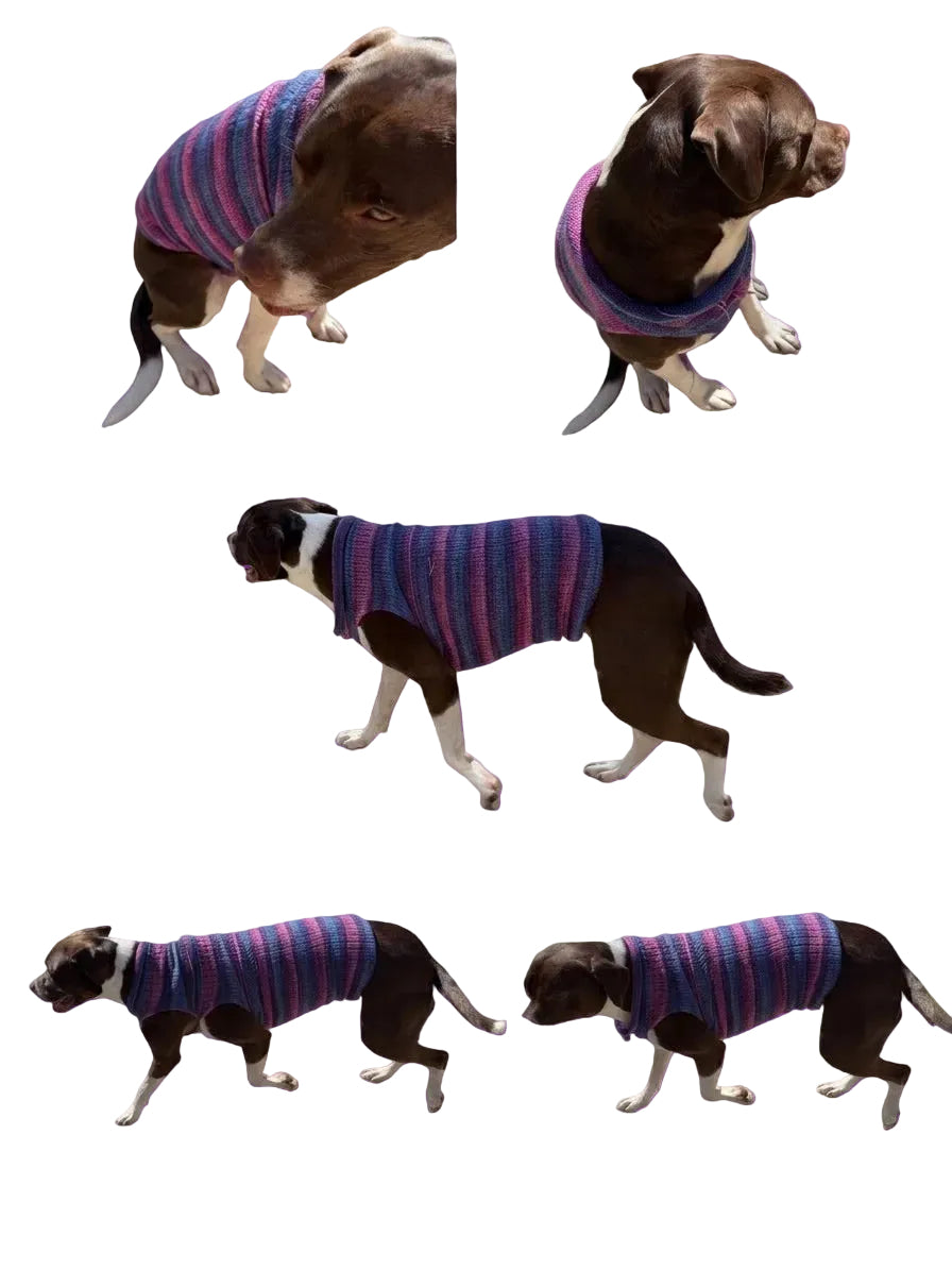 Doggy Sweaters